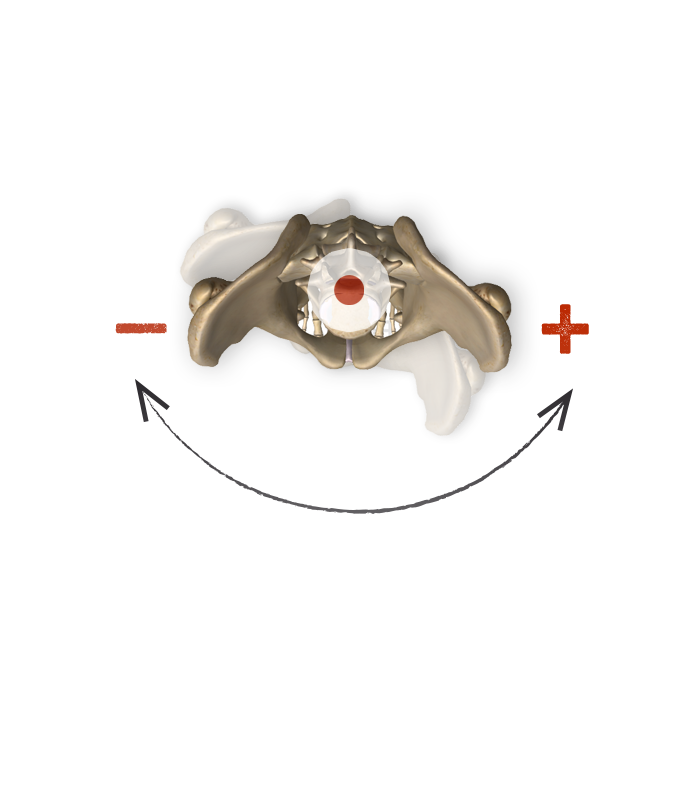 Pelvis Rotation