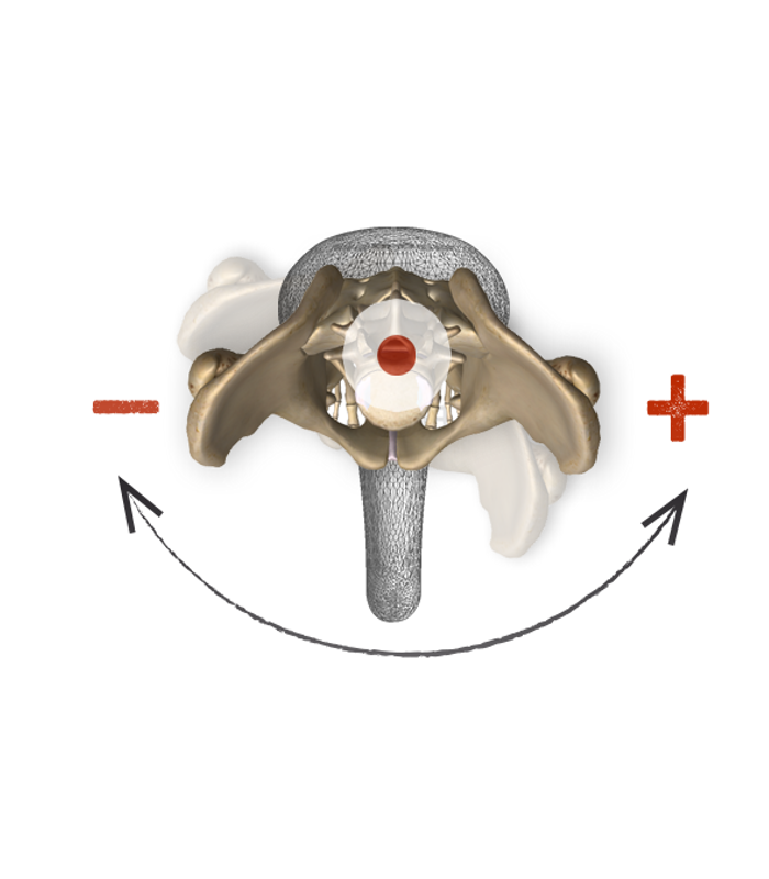 Pelvis Ritation
