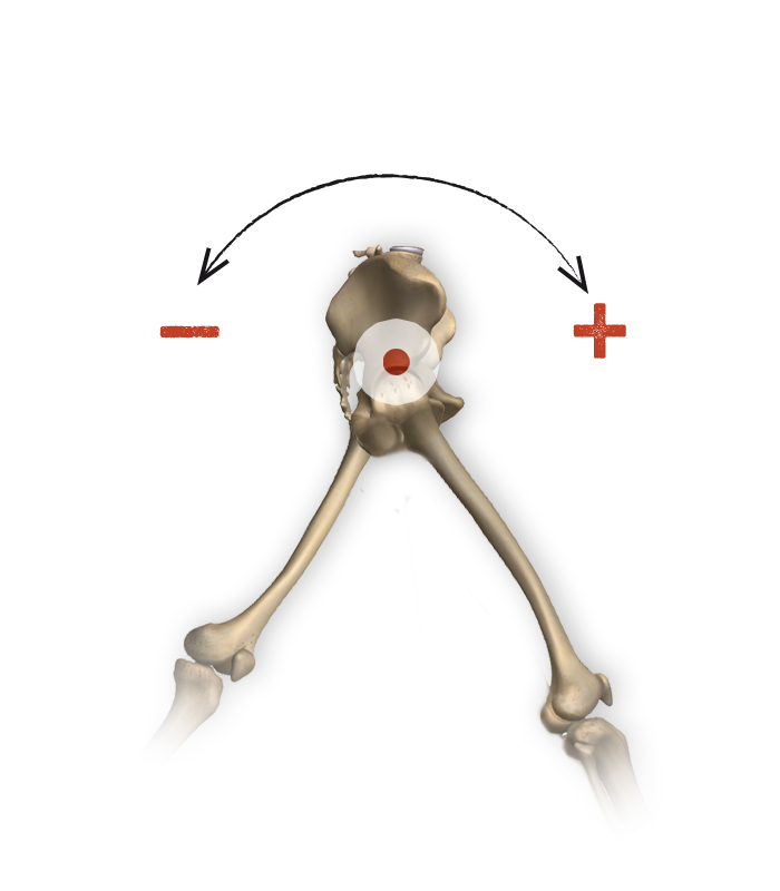 Pelvis Tilt
