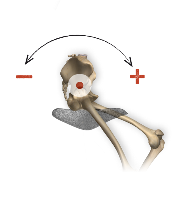 Pelvis Tilt